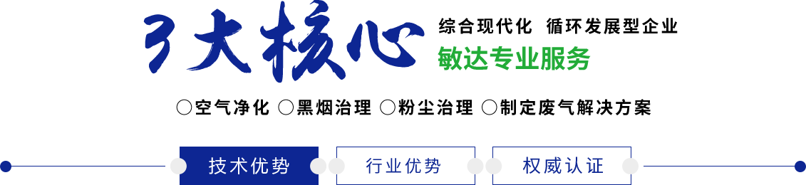 亲美女逼逼国产敏达环保科技（嘉兴）有限公司